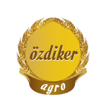 Gemini_Generated_Image_-Photoroom